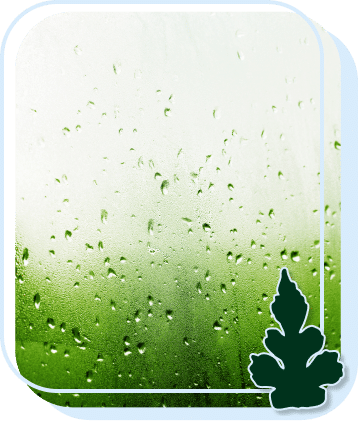 Dehumidification in Martinsburg, WV